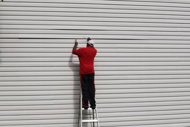 Best Insulated Siding Installation  in Belle Haven, VA