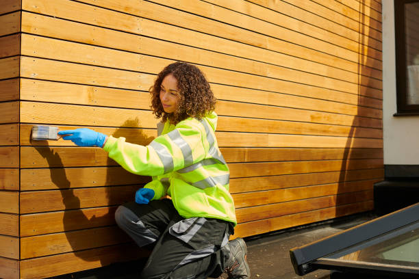 Best Fiber Cement Siding Installation  in Belle Haven, VA