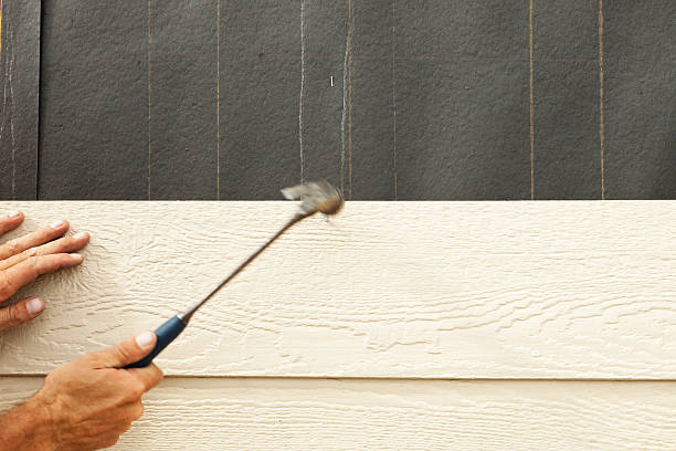 Best Vinyl Siding Installation  in Belle Haven, VA